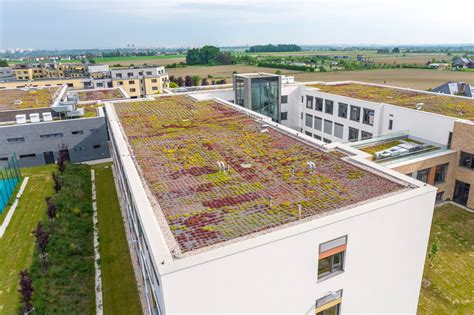 Zelená střecha na ploché střeše a terasa