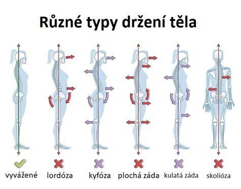 kobra a sikovky principy držení svírání