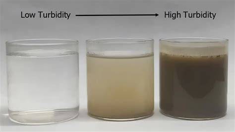 infographic sobre turbidity and lime water