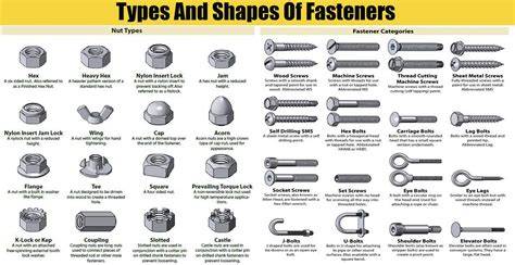 illustration of fastener types and tools