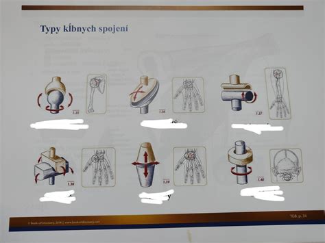 informační diagram o typy soklových lišt