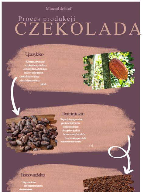 Infografika: proces dovozu štěrku a logistika
