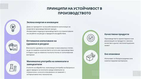 infografika_princip_cistici