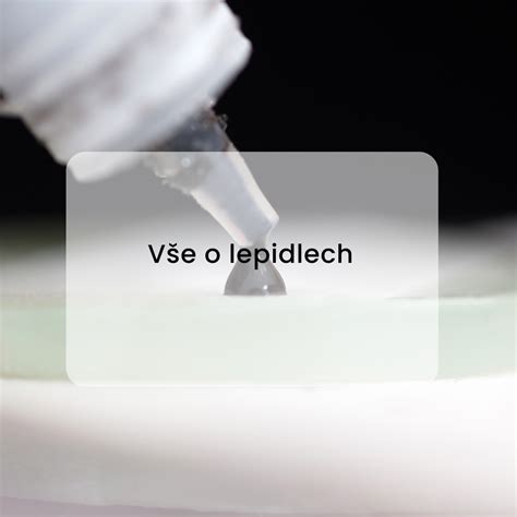 oblast pro vizuální přehled o lepidlech a jejich parametrech