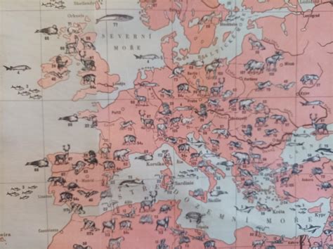 mapa rozšíření podlah MEISTER