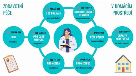Horečka a domácí péče infografika