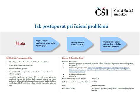 infografika_kolaudace_postup