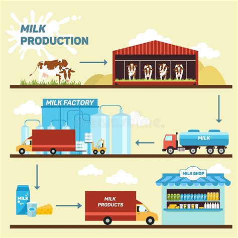 illustration of EPS production stages