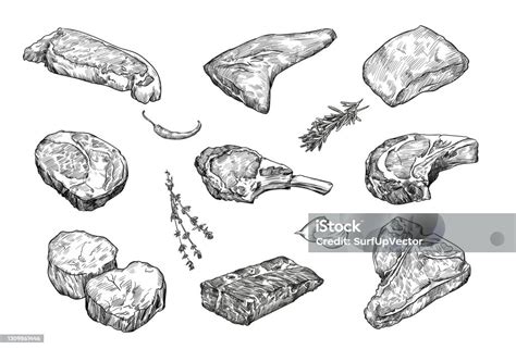krokove ilustrace rozebírající typy řezaček