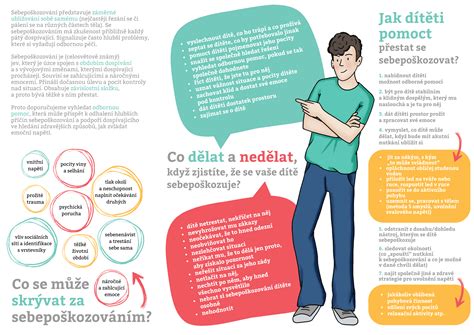 infografika-kdo-co-kde-manažerske-programy