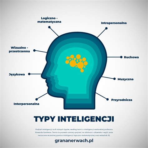 infografika: typy hmoždinek
