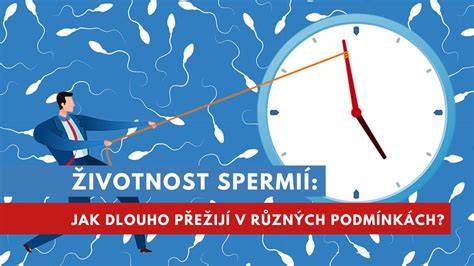 Životnost tekuté lepenky v různých prostředích