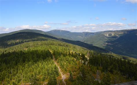 Králický Sněžník - panoráma hřebene