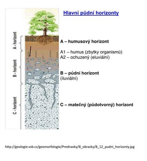 půdní horizonty a horizontologie