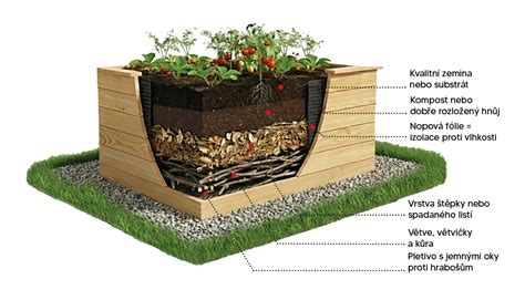 ilustrativní diagram ochranné vrstvy dřeva