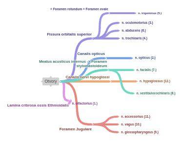 diagram uspořádání překladů nad otvory