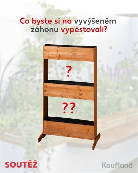papriky na balkóně a zahradě (ilustrace stupňů výsadby)
