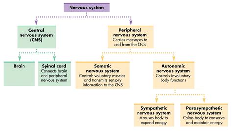 odvod_koure_vzdelan System_diagram